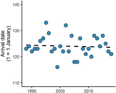 Why Are Whimbrels Not Advancing Their Arrival Dates Into Iceland? Exploring Seasonal and Sex-Specific Variation in Consistency of Individual Timing During the Annual Cycle